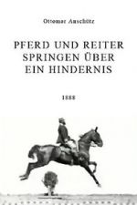 Watch Pferd und Reiter Springen ber ein Hindernis 9Movies