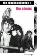 Watch The Circus 9Movies
