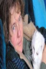 Watch Ciao Meow 9Movies