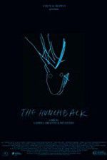 Watch The Hunchback 9Movies