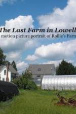 Watch The Last Farm in Lowell 9Movies