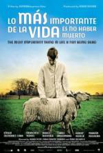 Watch The Most Important Thing in Life Is Not Being Dead 9Movies