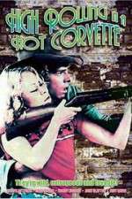 Watch High Rolling in a Hot Corvette 9Movies