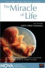 Watch The Miracle of Life 9Movies