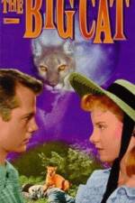Watch The Big Cat 9Movies
