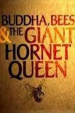 Watch Natural World Buddha Bees and the Giant Hornet Queen 9Movies