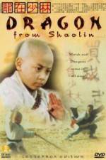 Watch Long zai Shaolin 9Movies