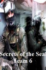Watch Discovery Channel Secrets of Seal Team 6 9Movies