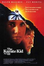Watch The Karate Kid, Part III 9Movies