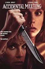 Watch Accidental Meeting 9Movies