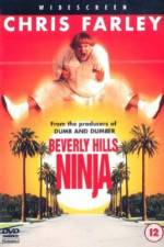 Watch Beverly Hills Ninja 9Movies