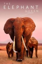 Watch The Elephant Queen 9Movies