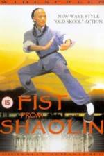 Watch Huang Fei Hong zhi nan er dang bao guo 9Movies