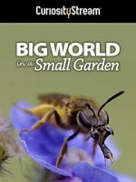 Watch Big World in a Small Garden (TV Short 2016) 9Movies