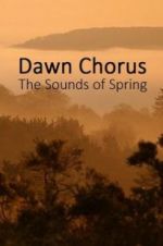 Watch Dawn Chorus: The Sounds of Spring 9Movies