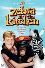 Watch Zebra in the Kitchen 9Movies