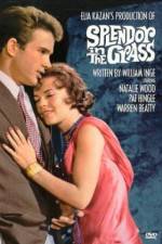 Watch Splendor in the Grass 9Movies