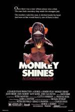 Watch Monkey Shines 9Movies