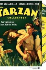 Watch Tarzan Finds a Son 9Movies