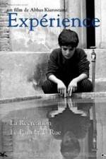 Watch The Experience 9Movies