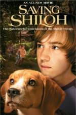 Watch Saving Shiloh 9Movies