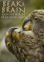 Watch Beak & Brain - Genius Birds from Down Under 9Movies