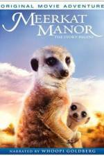 Watch Meerkat Manor The Story Begins 9Movies