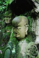 Watch The Thousand Years Old Man (  ) 9Movies