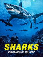 Watch Sharks: Predators of the Deep 9Movies