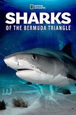 Watch Sharks of the Bermuda Triangle (TV Special 2020) 9Movies