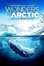 Watch Wonders of the Arctic 3D 9Movies