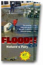 Watch Flood 9Movies