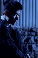 Watch The Place on the Tricorne 9Movies