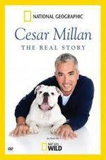 Watch Cesar Millan: The Real Story 9Movies
