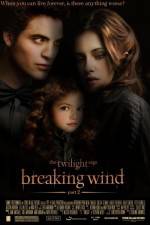 Watch Breaking Wind 9Movies