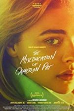 Watch The Miseducation of Cameron Post 9Movies