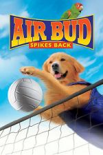 Watch Air Bud: Spikes Back 9Movies