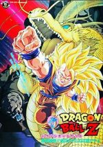 Watch Dragon Ball Z: Wrath of the Dragon 9Movies