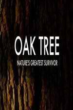 Watch Oak Tree Natures Greatest Survivor 9Movies