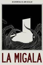 Watch The Bird Spider 9Movies