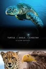 Watch Turtle, Eagle, Cheetah: A Slow Odyssey 9Movies