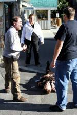 Watch Dead Stop 9Movies