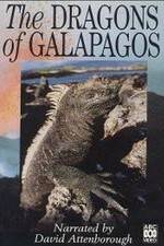 Watch The Dragons of Galapagos 9Movies