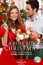 Watch A Rose for Christmas 9Movies