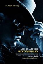 Watch Notorious (2009) 9Movies
