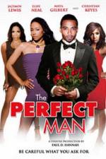 Watch The Perfect Man 9Movies