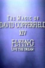 Watch The Magic of David Copperfield XIV Flying - Live the Dream 9Movies