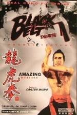 Watch Shao Lin ban pan tu 9Movies