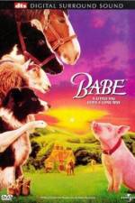 Watch Babe 9Movies