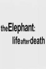 Watch The Elephant - Life After Death 9Movies